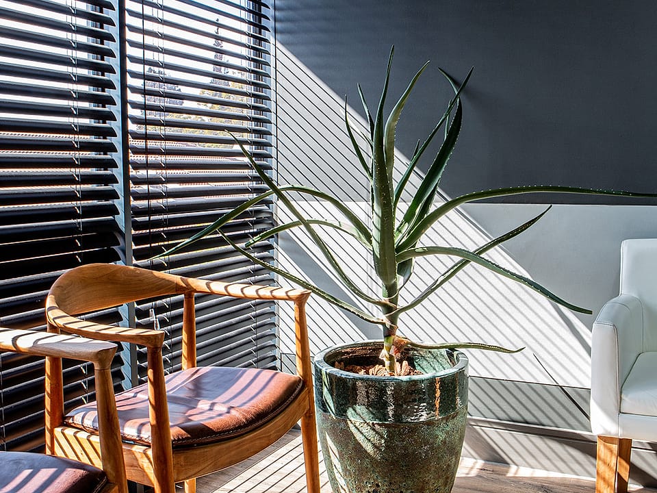 A quiet corner of the waiting room with a wooden armchair and a large aloe in a glazed pot.
